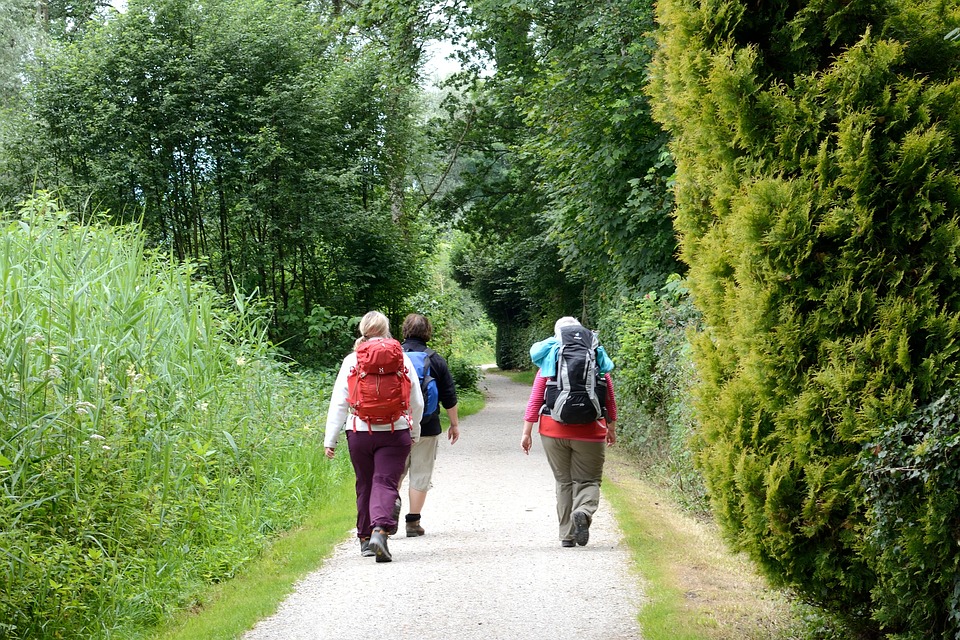 balade nature promenade