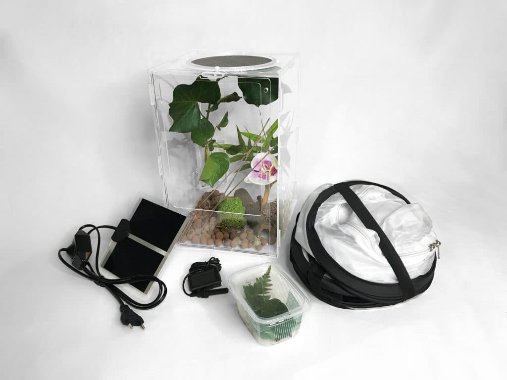 kit élevage Insecterie