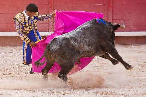 abolition corrida anti-corrida manifestation Toulouse