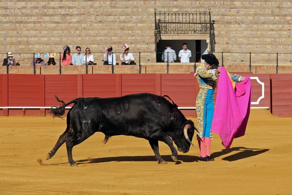 corrida montpellier