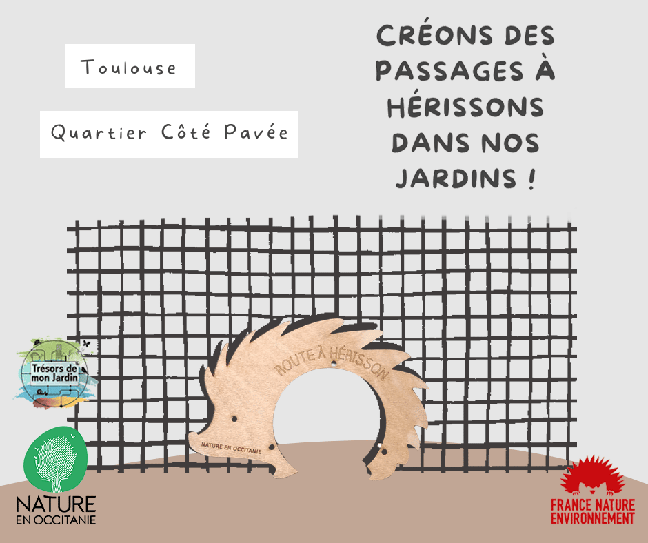 Toulouse hedgehogs garden passages project