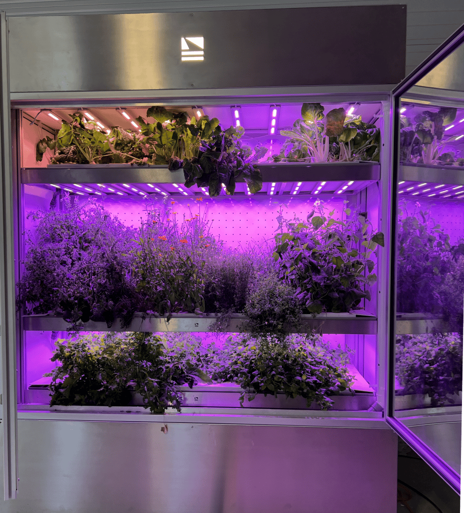 biomebox Orius plants grows plants