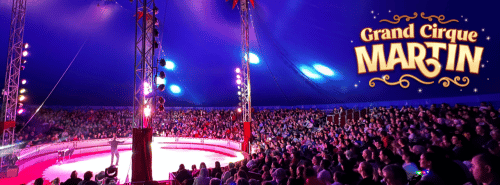 cirque martin toulouse