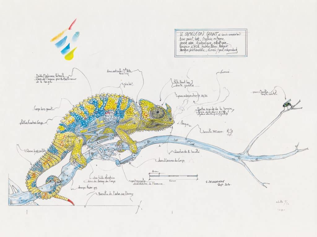 Croquis Cameleon Couleur Francois Delaroziere profiter week-end Toulouse