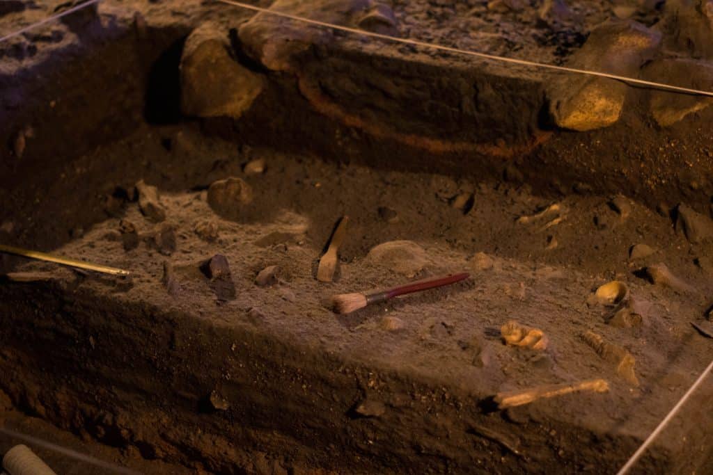 archéologie fouilles découverte fossiles