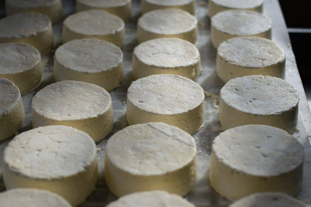 sorties vacances hiver Aveyron fromage fabrication fromagers