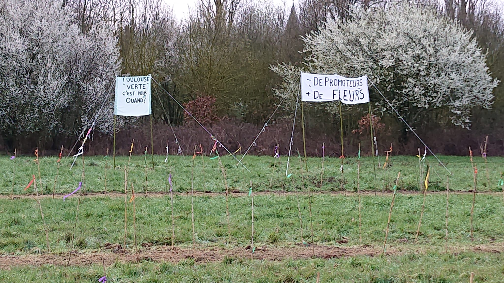 Le 18 mars dernier, le collecif citoyen "Le Bocage Autrement" plante 200 arbres pour protester contre un projet foncier dans le secteur de Paléficat.