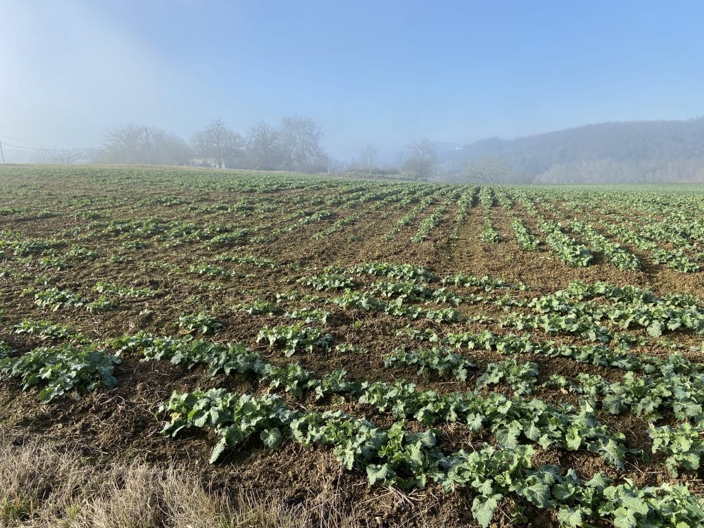 champs biologique environnement écologie initiatives Occitanie