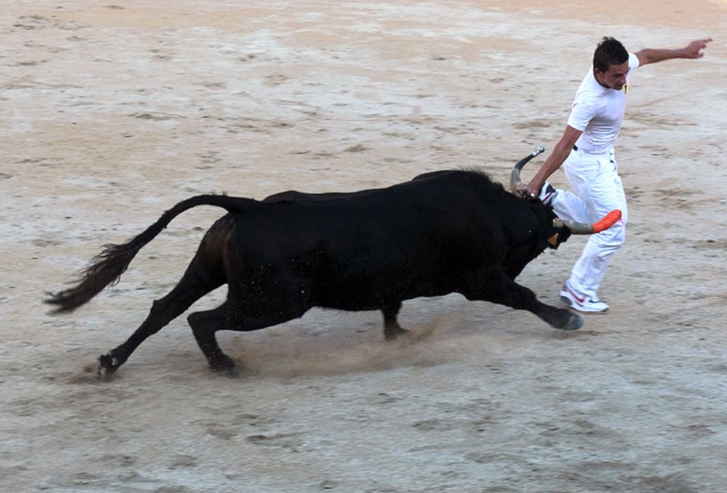 Course camarguaise