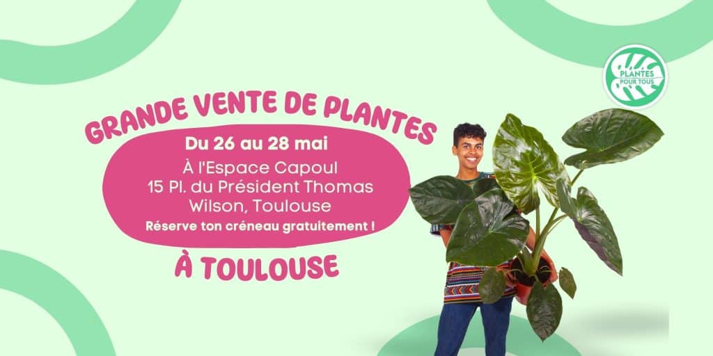 ventes plantes Toulouse