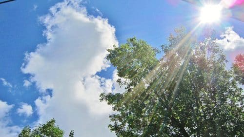 canicule vigilance jaune