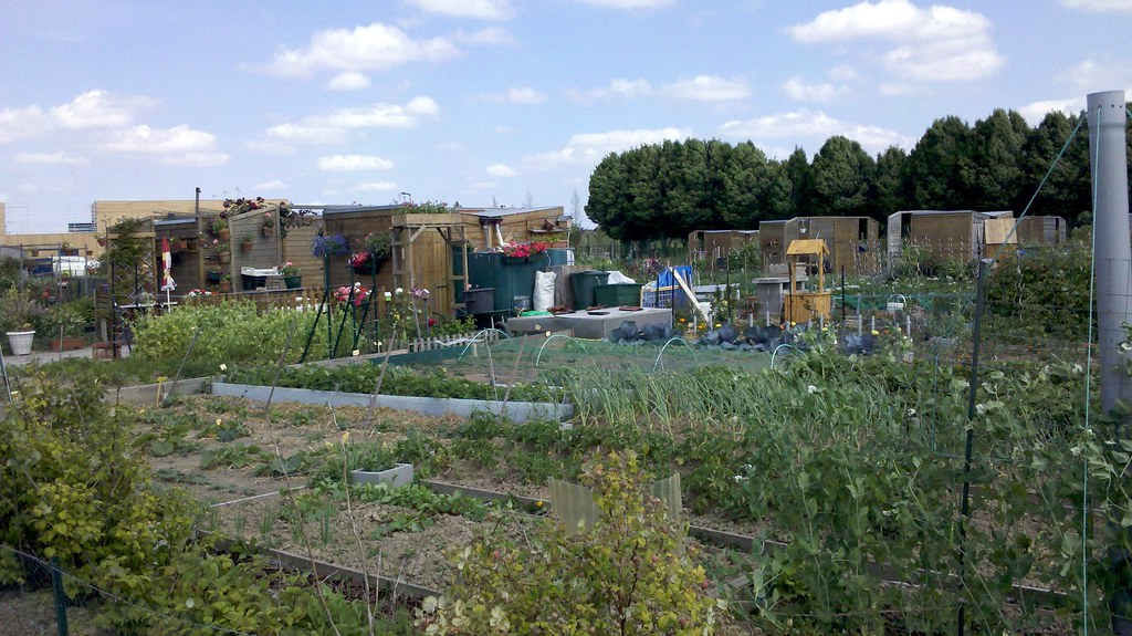 Jardin ouvrier de Marquette