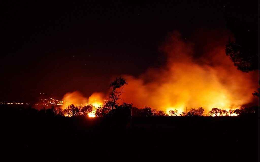 incendie zoo Montpellier