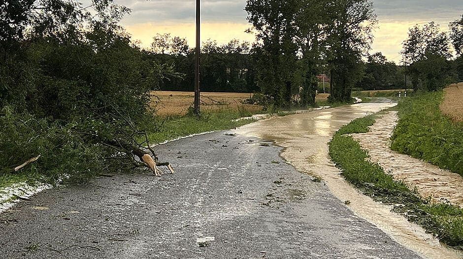 Tempête ciaran domingos Gers