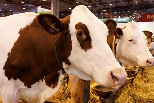 Salon de l'Agriculture Paris