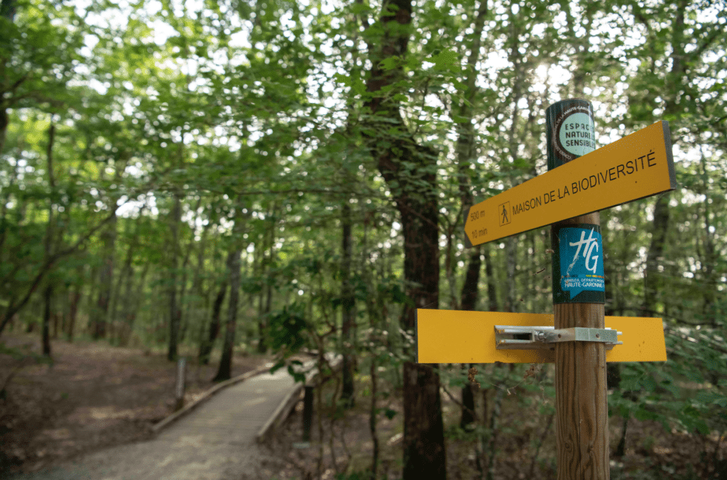 forêt haute-garonne