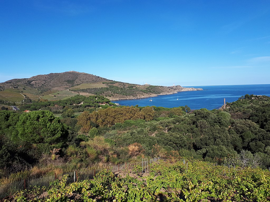 Pyrénées-Orientales baignade Anse Paulilles