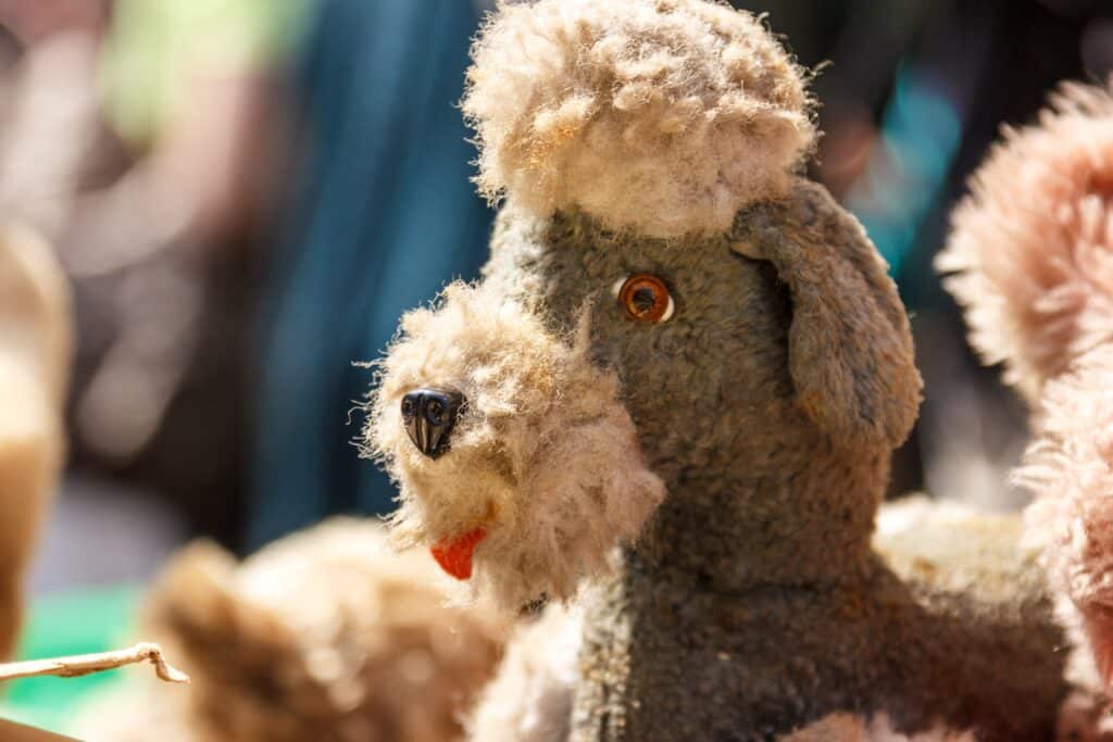 peluche marché