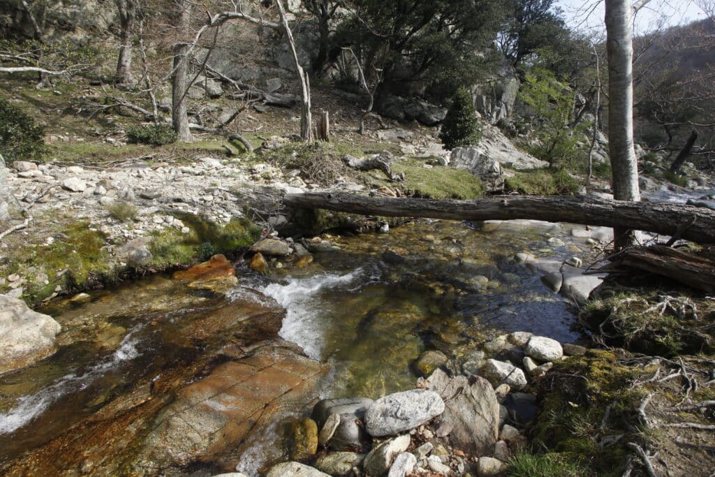 réserve naturelle angelès