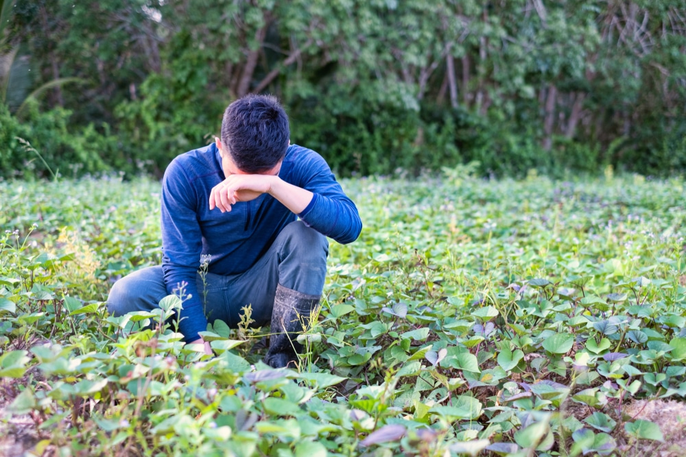 suicide agriculteurs