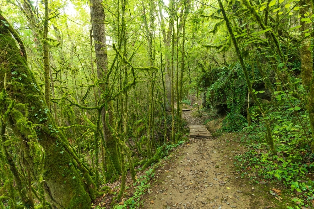 randonnées Ariège