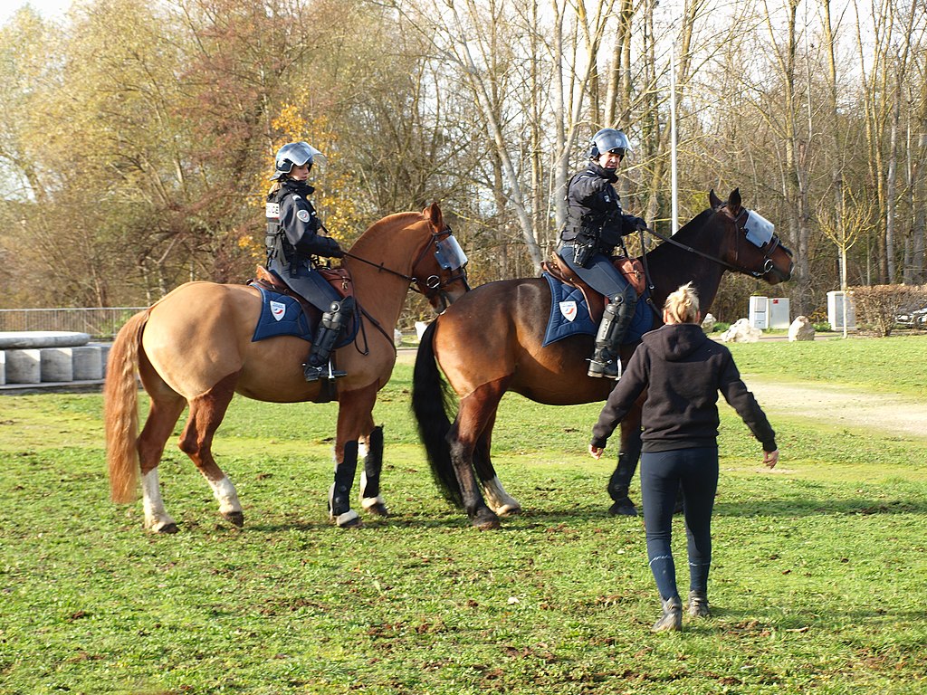 brigade équestre Val-de-Marne