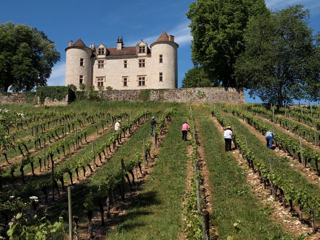 vignoble cahors Lot