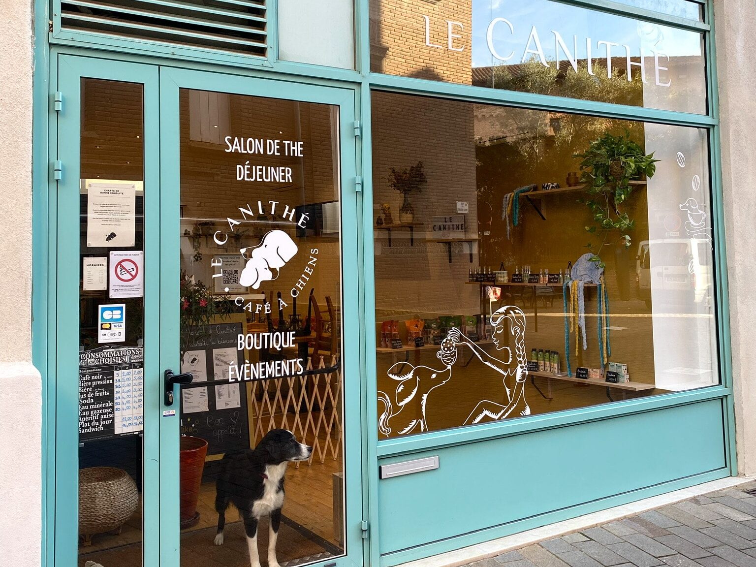 Canithé Café chiens Toulouse