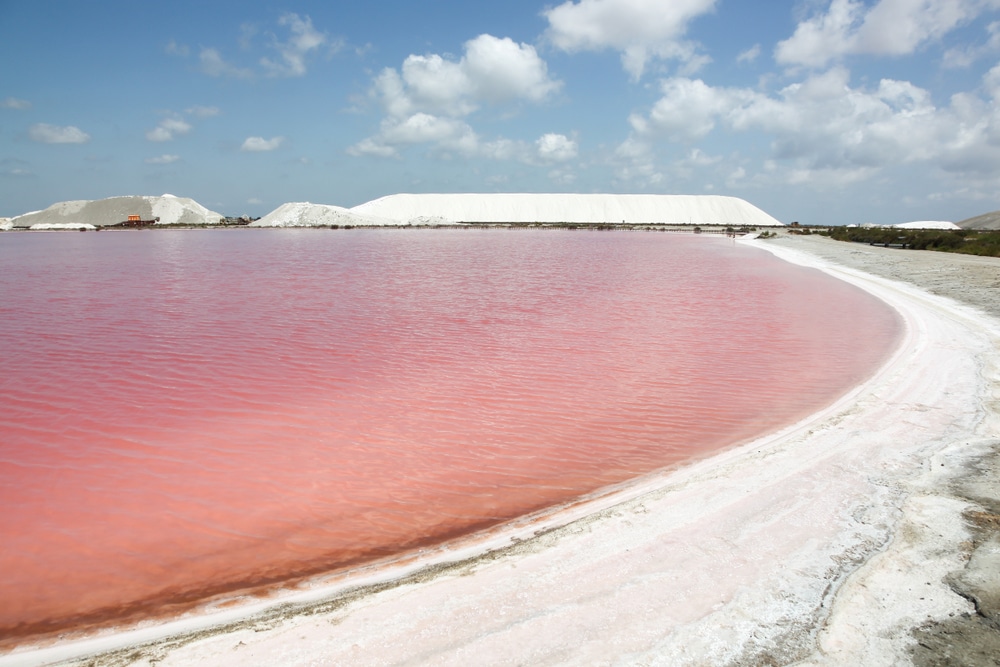 salins aigues-mortes gard