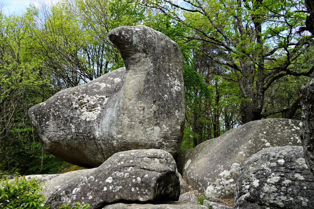 Les Pyrénéens Rochers, vous connaissez ?