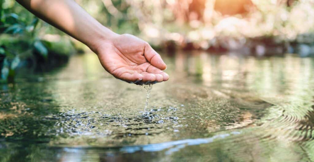 Huate-Garonne biodiversité lacs