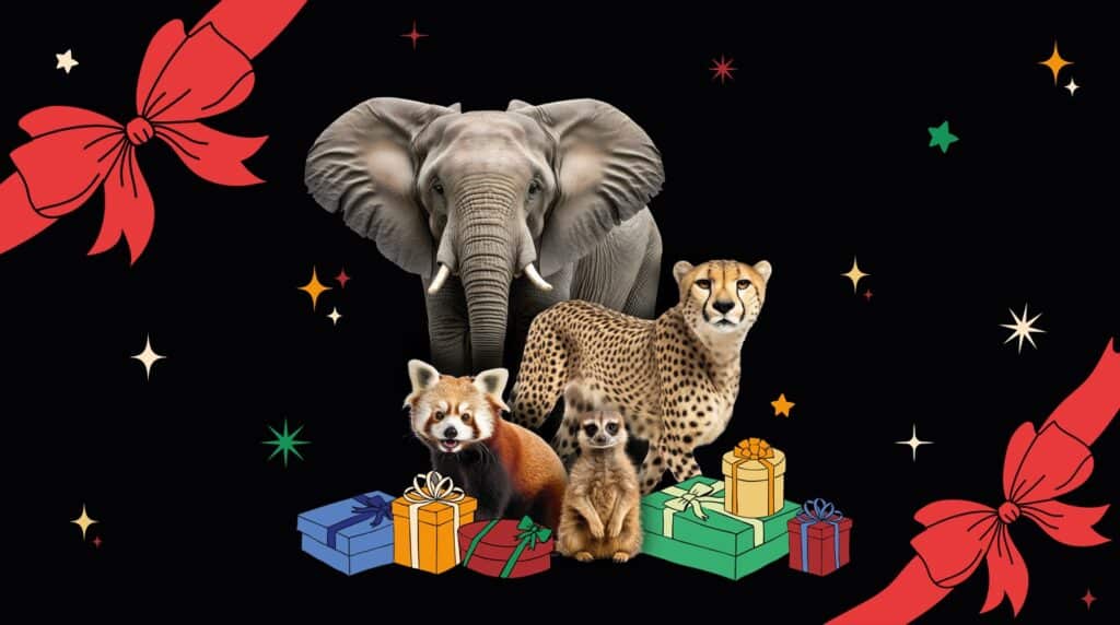 Noël zoo African Safari vacances Haute-Garonne