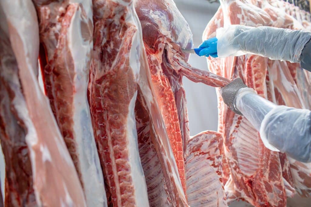 abattoir découpe viande