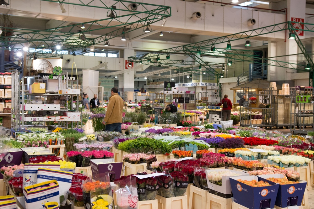 marché Rungis agriculteurs