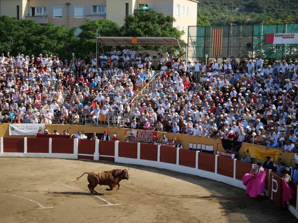 Pyrénées-Orientales Férias Céret