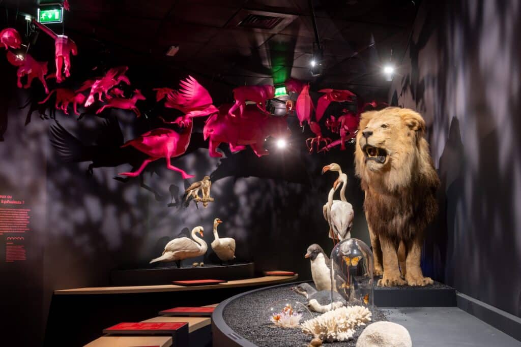 Toulouse expositions magnifiques juin