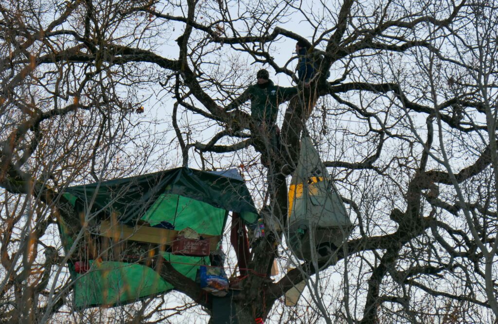 A69 militants descendus arbres