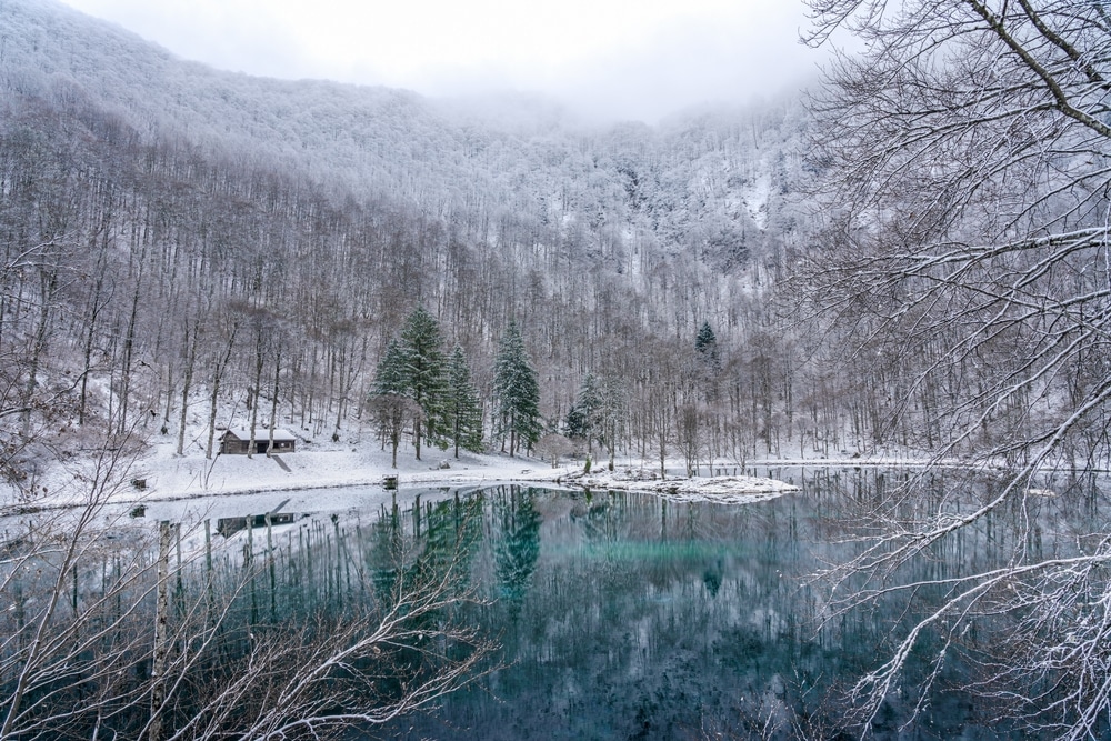 randonnées hivernales merveilleuses