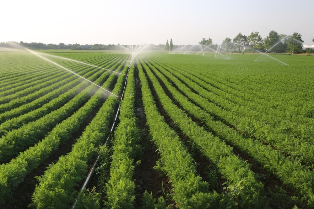 occitanie agriculteur