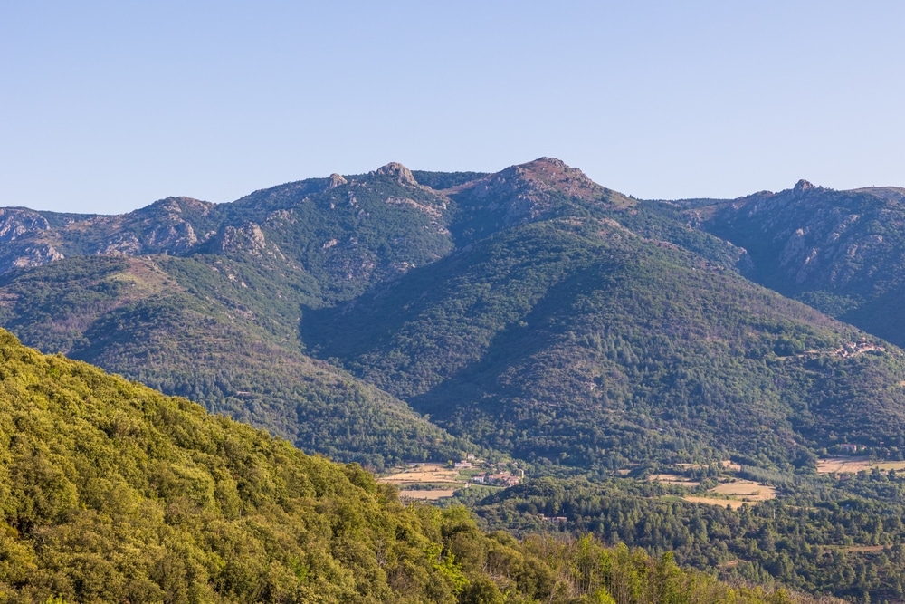 parc naturel régional Haut-Languedoc