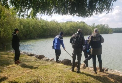 Ce mardi une soixantaine d'enquêteurs ont été dépêchés au refuge de tortues de Bessières.