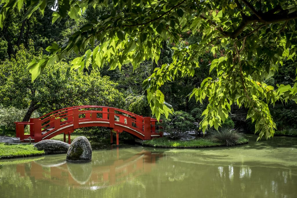 Jardin occitanie