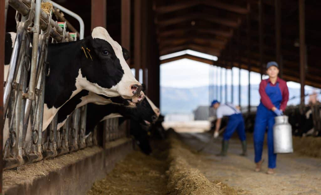 Une centaine de fermes d'Occitanie ouvrent leurs portes au public.