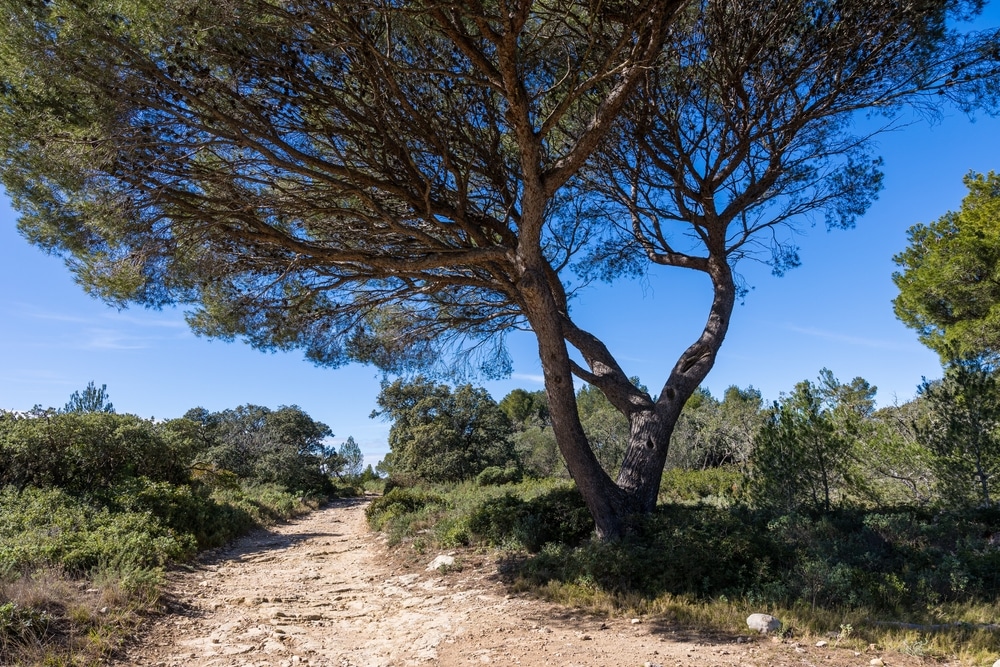 aude randonnnées vertigineuses printemps