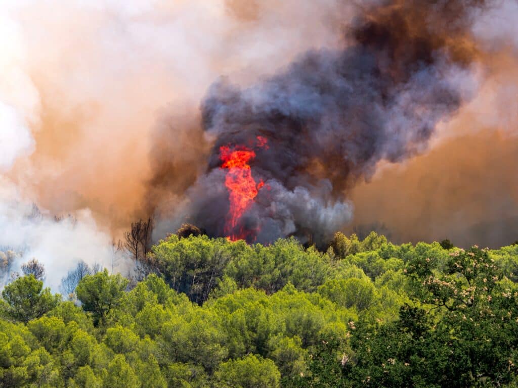 Incendie Pyrénées-Orientales Castelnou