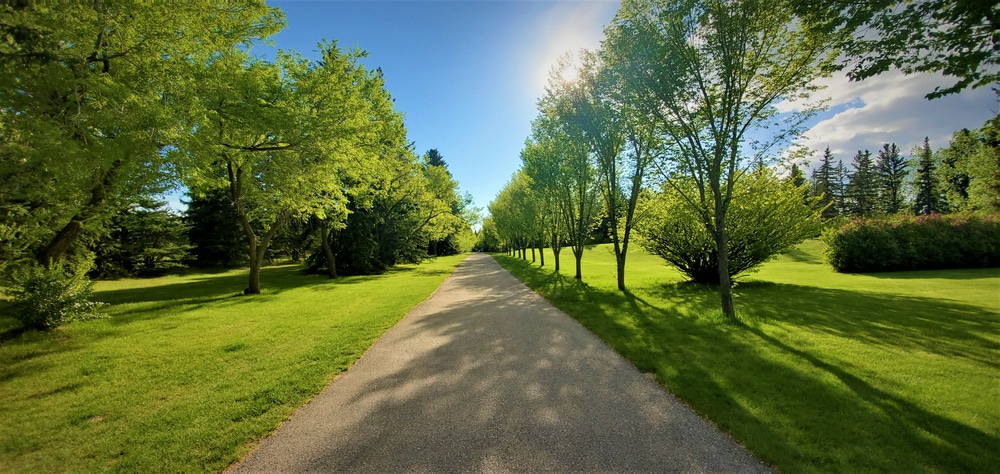 jardin toulouse
