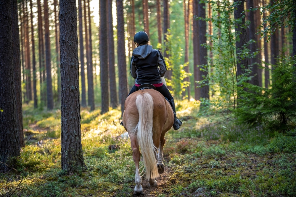Midi-Pyrénées cheval randonnées équestres