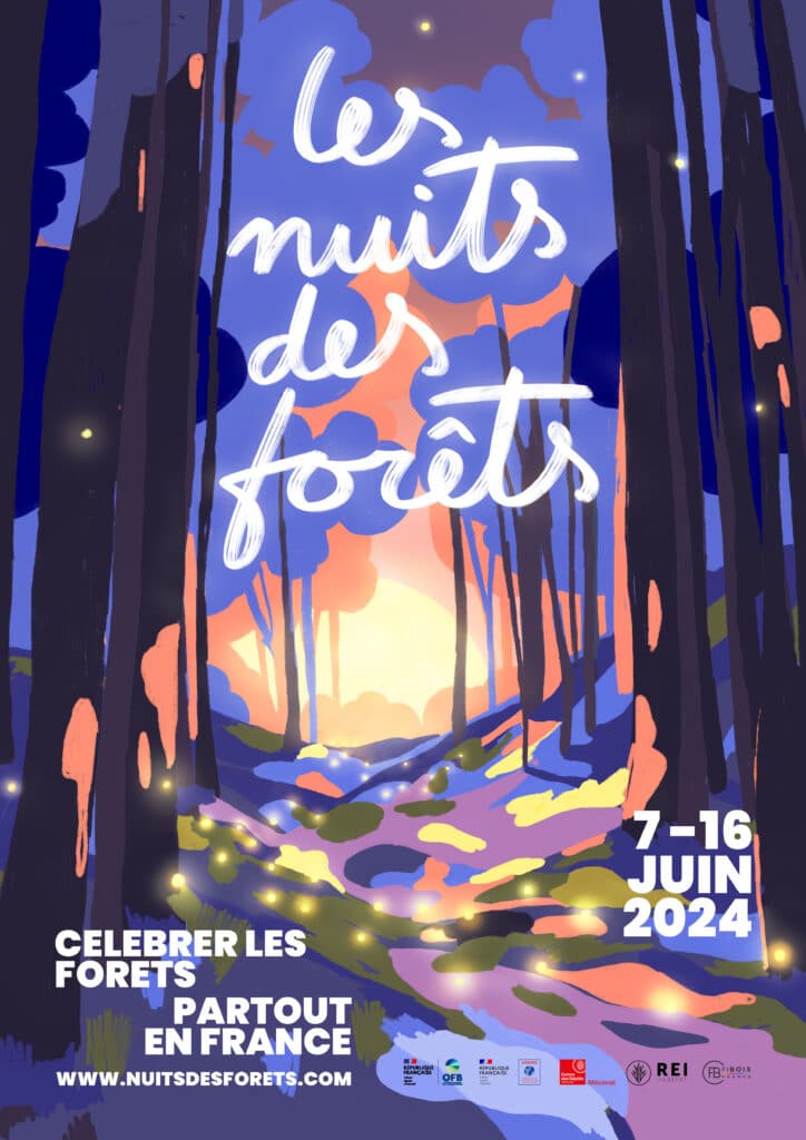 occitanie forêt nuit
