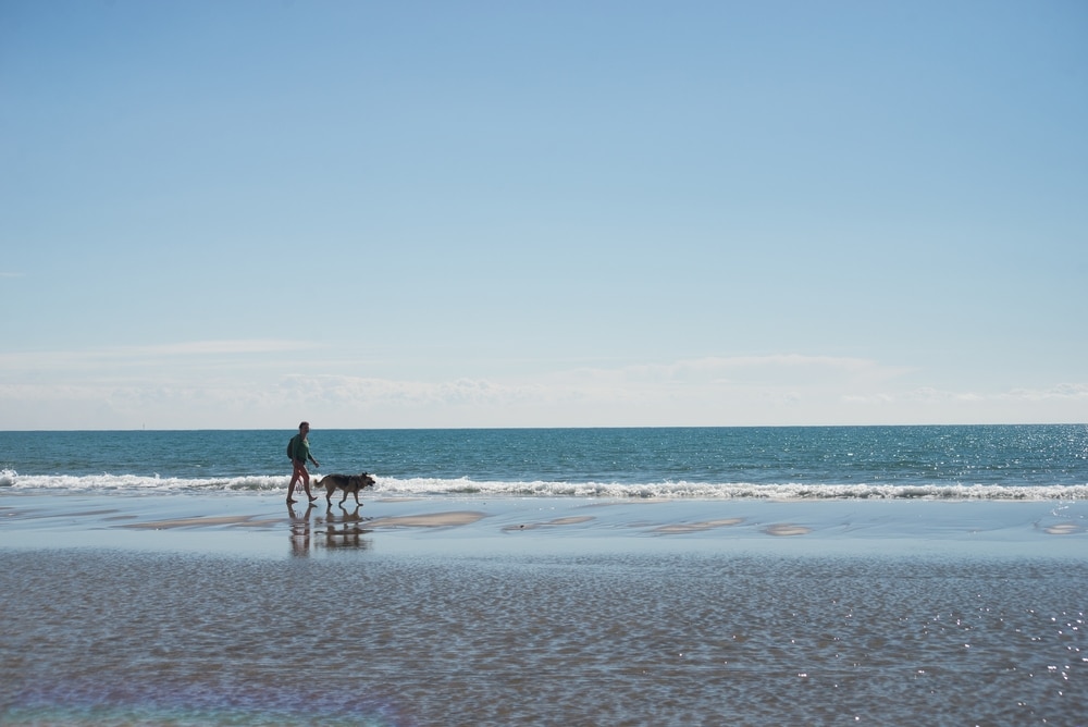 plage gruissan
