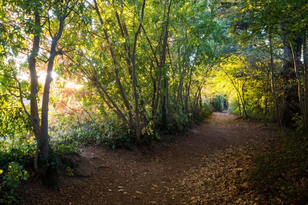 forêts Montpellier interdit